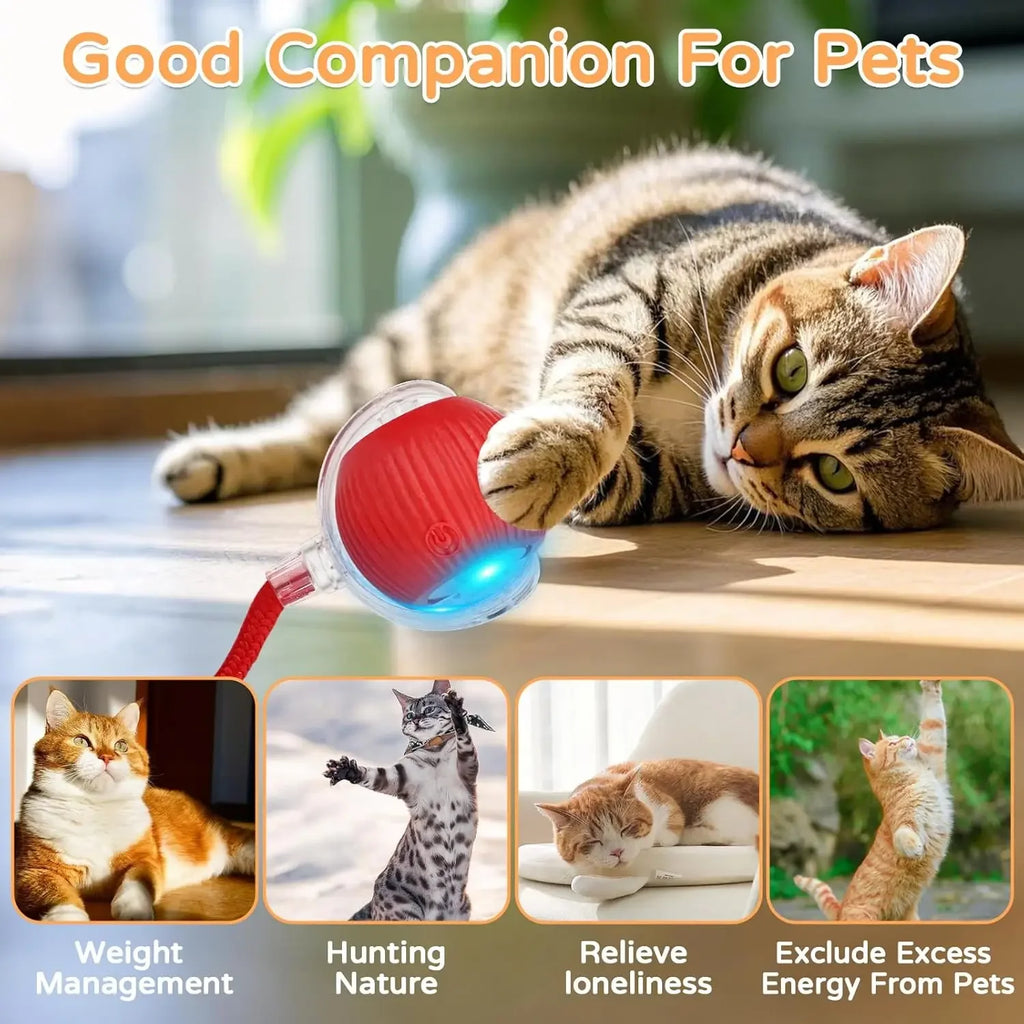 Cat Interactive Ball Toy Automatic Rolling