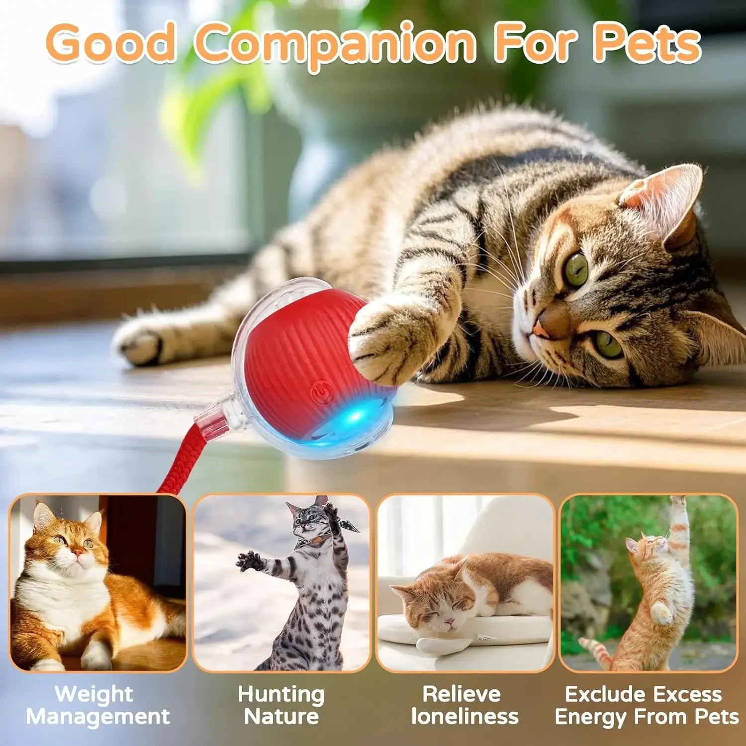 Cat Interactive Ball Toy Automatic Rolling