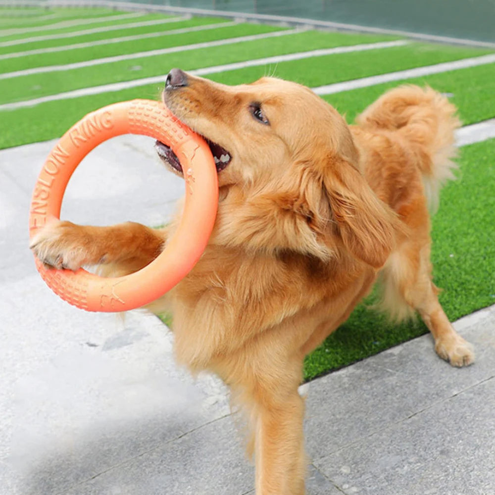 1pc Orange Dog Toys Pet Flying Disk Training Ring