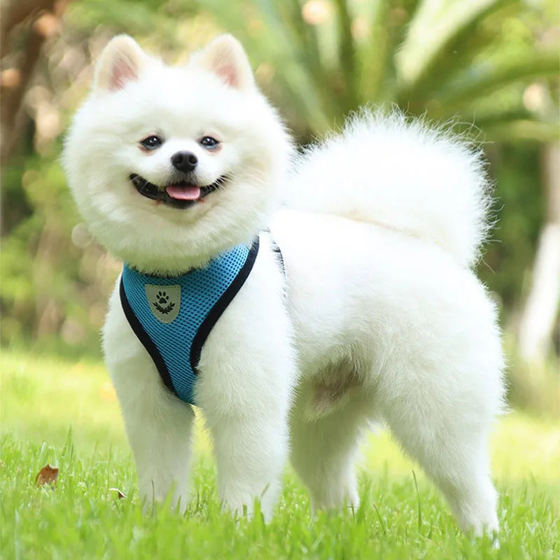 Pets Harness Strap for Cats and Dog